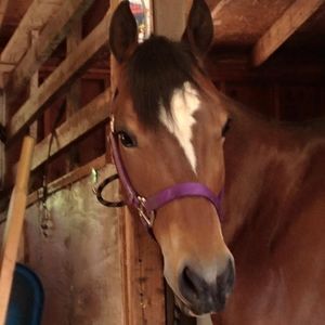 Meet your Posher, Patty