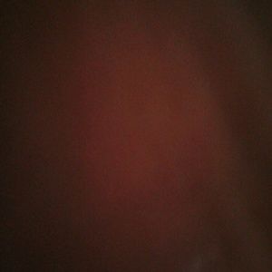 Meet your Posher, Shane