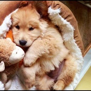 Meet your Posher, Jillian