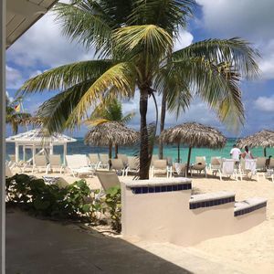 Meet your Posher, Phyllis