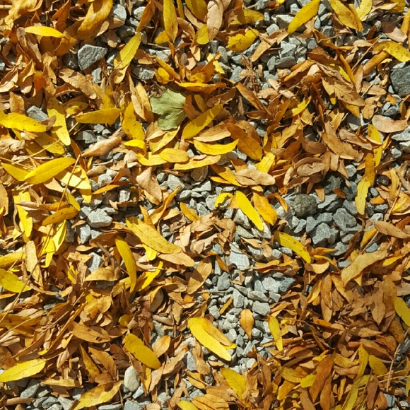 Meet your Posher, Constance