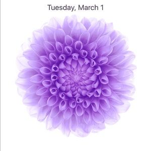 Meet your Posher, Robin