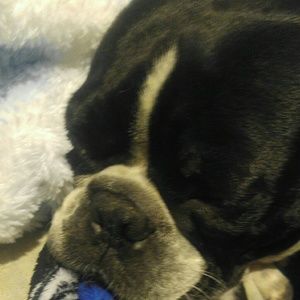 Meet your Posher, Anna