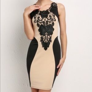 Contrast Cocktail Evening Bodycon