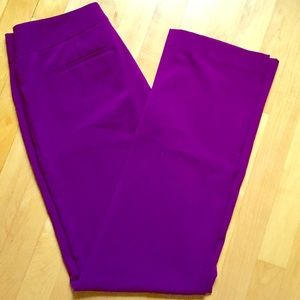 Tahari purple trouser🍇