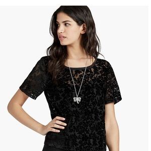 Lucky Brand, Burnout Top. Black velvet