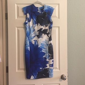 Blue and White Zara Dress