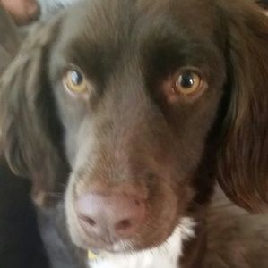 Meet your Posher, Tamara