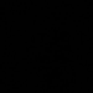 Meet your Posher, Dante