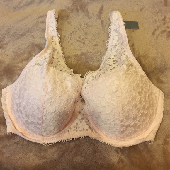 Aerie bra push up