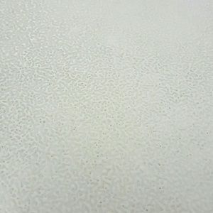 Meet your Posher, Gabby