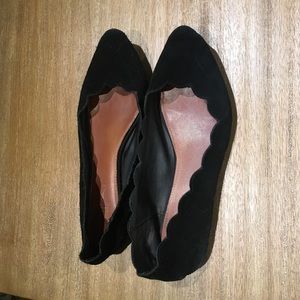 Black scallop flats