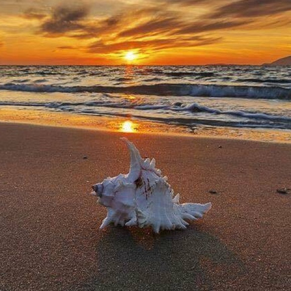 Meet your Posher, Lissa