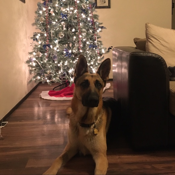 Meet your Posher, JD - Picture 2 of 3