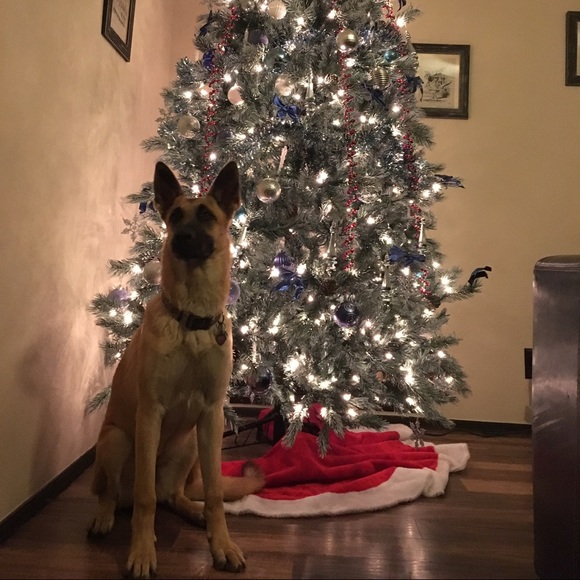 Meet your Posher, JD - Picture 3 of 3