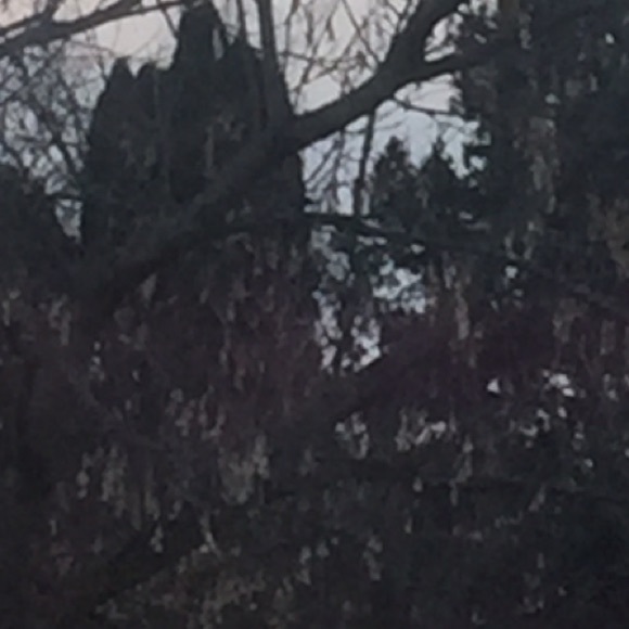 Meet your Posher, Maya