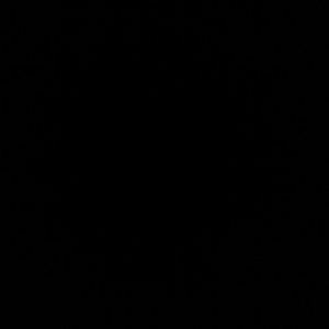 Meet your Posher, Bryan