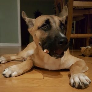 Meet your Posher, Tara