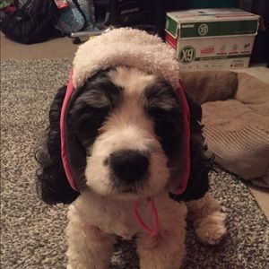 Meet your Posher, Madison