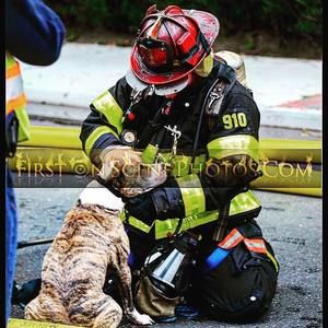 Meet your Posher, Kevin