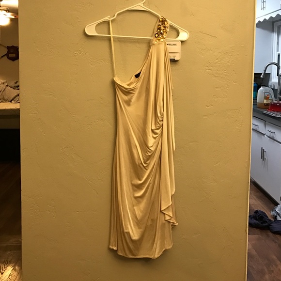 🎀SOLD🎀 BCBG Dress