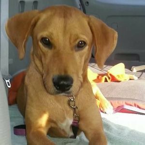 Meet your Posher, Kimble