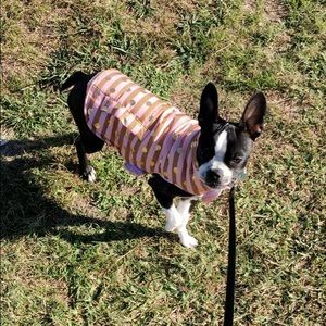 Meet your Posher, Haley