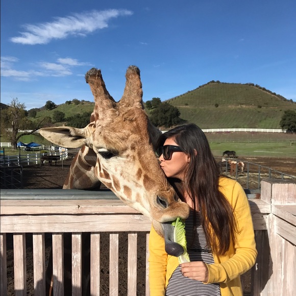 Meet your Posher, Hailey - Picture 2 of 3