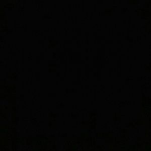 Meet your Posher, Gavy