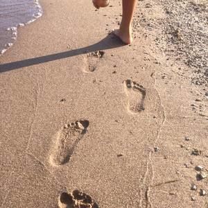 Meet your Posher, Rhody