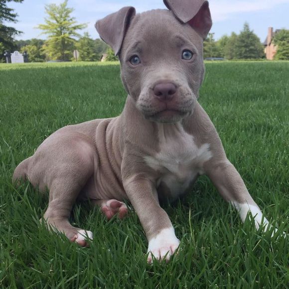 Meet your Posher, Jody - Picture 1 of 1