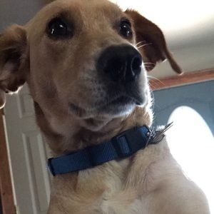 Meet your Posher, Dylan