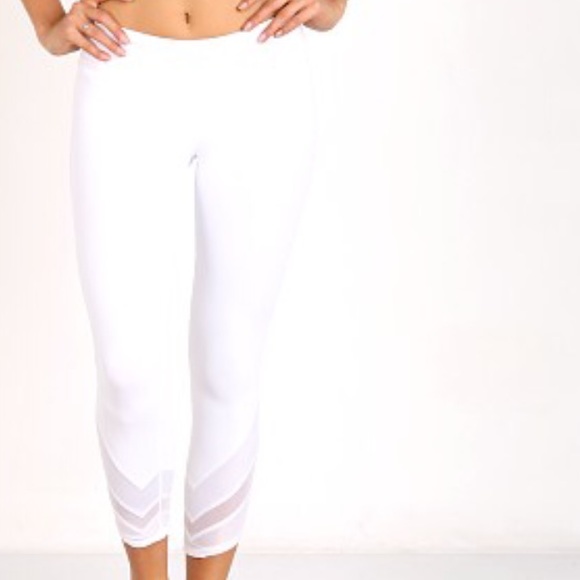 Edge Campari alo yoga