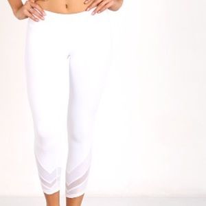 Edge Campari alo yoga