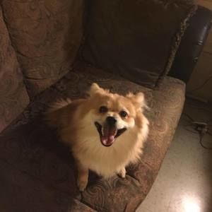 Meet your Posher, Yolanda