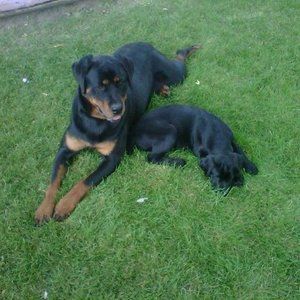 Meet your Posher, Stacey