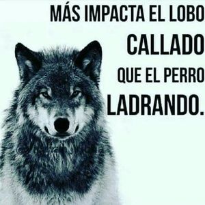 Meet your Posher, Maynor