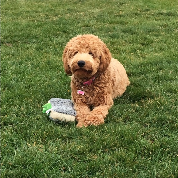 Meet your Posher, Laura - Picture 1 of 1