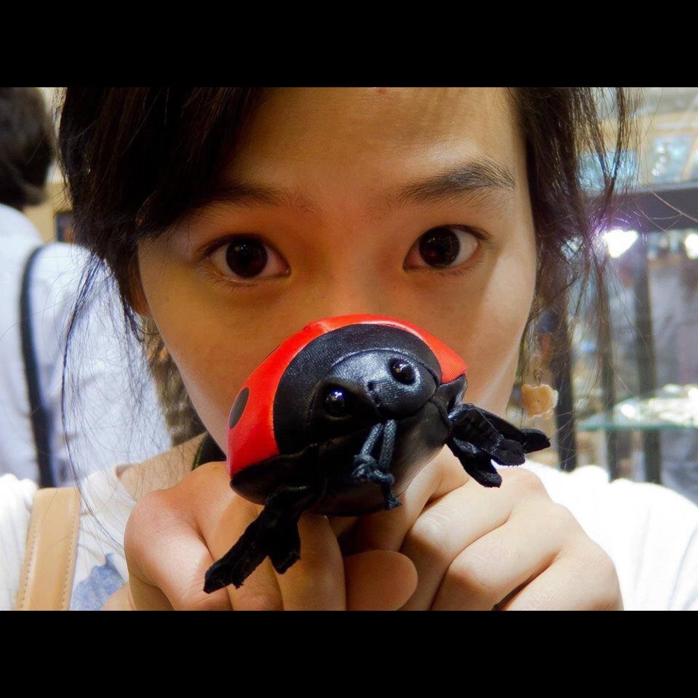 Meet your Posher, Laninani