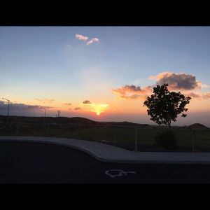 Meet your Posher, Ivy