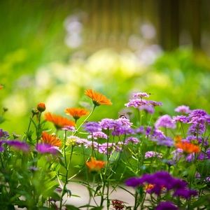 Meet your Posher, Molly