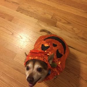 Meet your Posher, Juanita