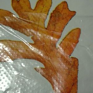 Meet your Posher, Ben