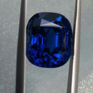 Meet your Posher, Aloysius