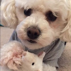 Meet your Posher, Kay