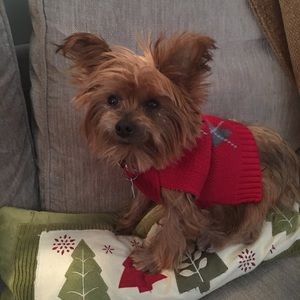 Meet your Posher, Ellen