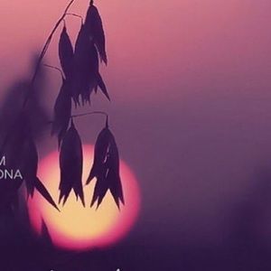 Meet your Posher, Rand