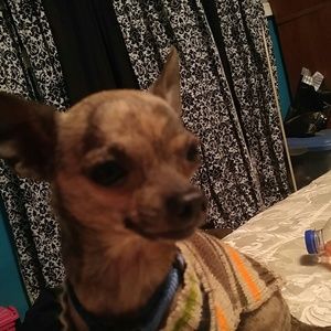 Meet your Posher, Bethany