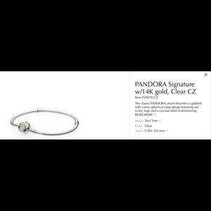 NEW Pandora charm bracelet