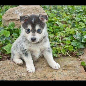 Meet your Posher, Emily